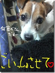 今日カズ081115　1