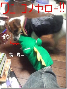 今日カズ081115　3