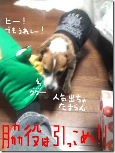 今日カズ081115　4