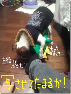 今日カズ081115　6
