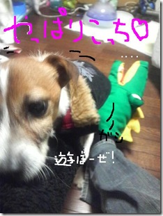今日カズ081115　7