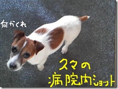 今日カズ081117　2