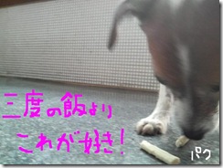 今日カズ081117　4