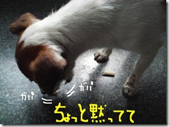 今日カズ081117　5