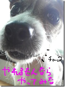 今日カズ081117　7