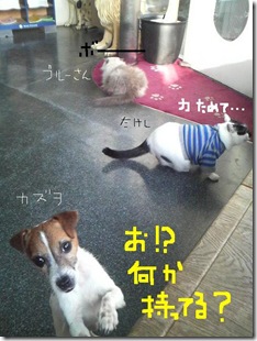 今日カズ081118　1
