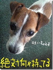 今日カズ081118　2