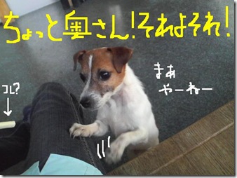 今日カズ081118　3