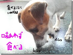 今日カズ081118　5
