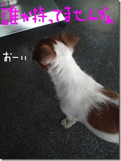 今日カズ081118　7