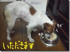 今日カズ081119　3