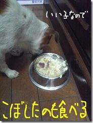今日カズ081119　4