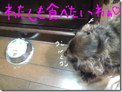 今日カズ081119　5