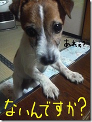 今日カズ081119　10