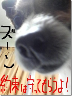 今日カズ081119　11