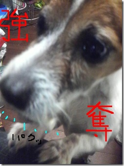 今日カズ081119　12