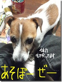 今日カズ081119　13