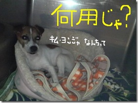 今日カズ081121　1