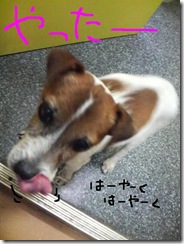 今日カズ081121　2