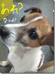 今日カズ081121　3
