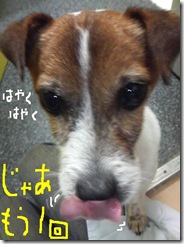今日カズ081121　4