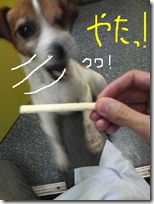 今日カズ081121　5