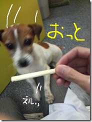 今日カズ081121　6