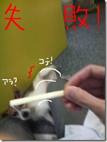 今日カズ081121　7