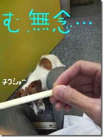今日カズ081121　8