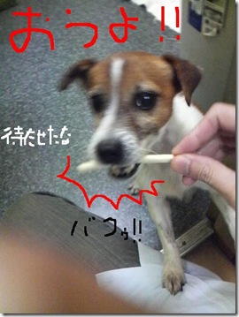 今日カズ081121　9