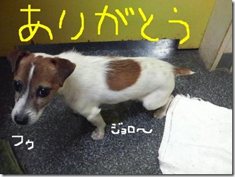 今日カズ081121　10