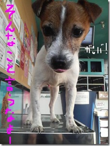 今日カズ081122　1