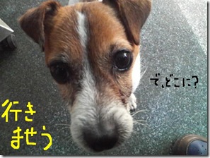 今日カズ081122　2