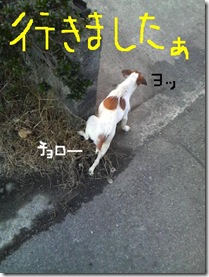 今日カズ081122　3