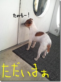 今日カズ081122　4