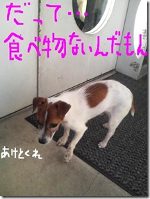 今日カズ081122　5