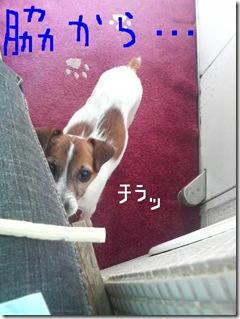 今日カズ081122　7