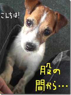 今日カズ081122　8