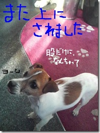 今日カズ081122　9