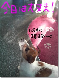 今日カズ081122　10