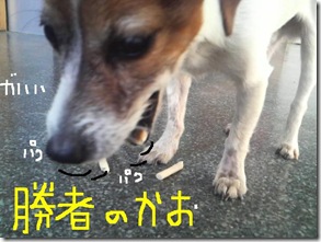 今日カズ081122　12