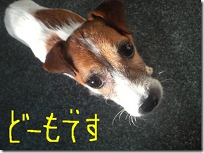 今日カズ081122　13