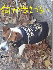 今日カズ081124　4