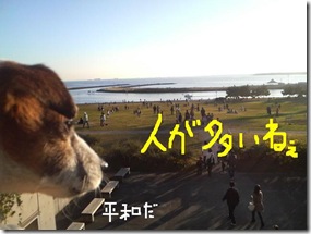 今日カズ081124　6
