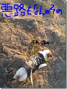 今日カズ081124　7