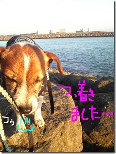 今日カズ081124　9