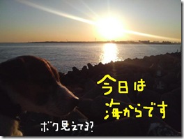 今日カズ081124　10