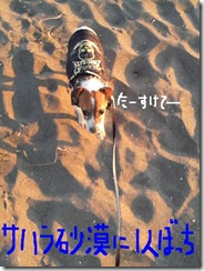 今日カズ081124　15