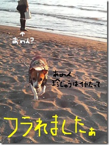 今日カズ081124　16
