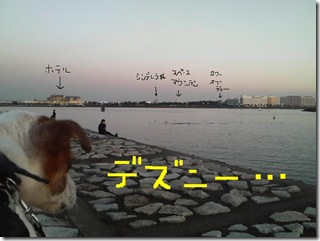 今日カズ081124　19
